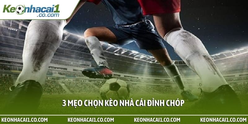 3 mẹo chọn kèo nhà cái đỉnh chóp