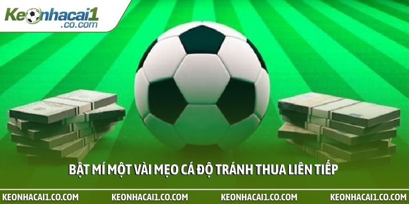 bat mi mot vai meo ca do tranh thua lien tiep