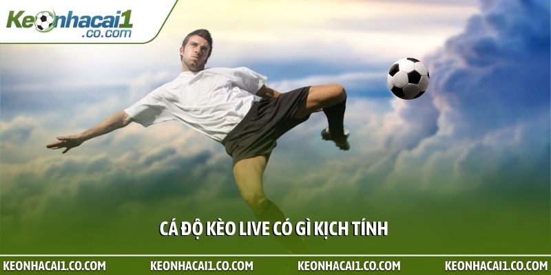 Cá độ kèo live có gì kịch tính