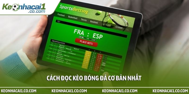 Cách đọc kèo bóng đá cơ bản nhất