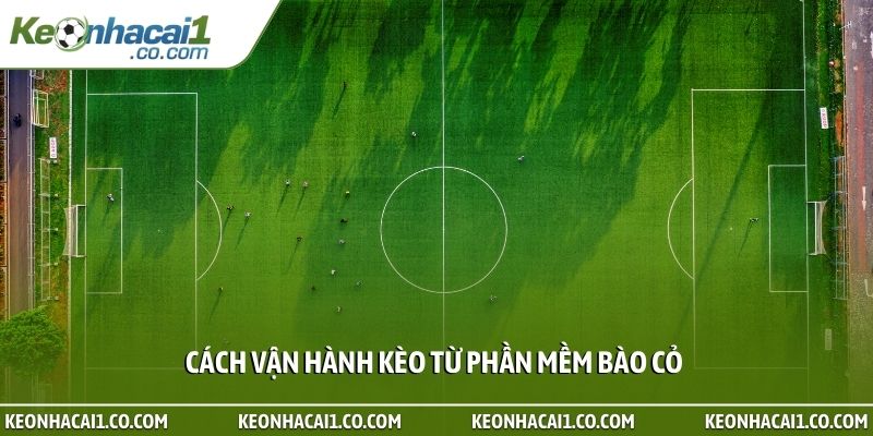 Cách vận hành kèo từ phần mềm bào cỏ