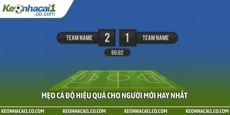 Mẹo cá độ hiệu quả cho người mới hay nhất