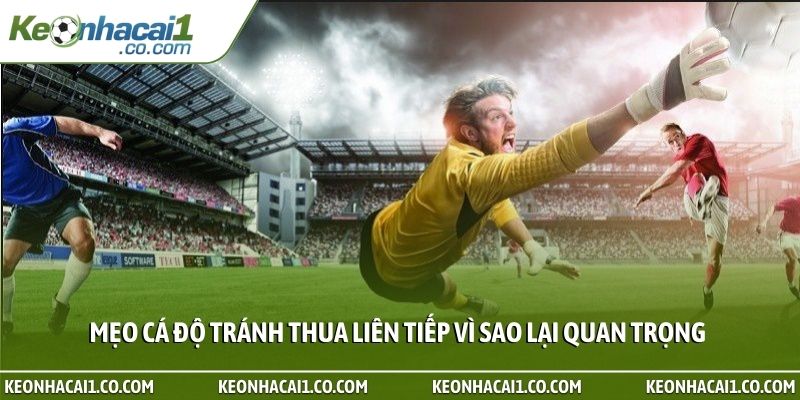 meo ca do tranh thua lien tiep vi sao lai quan trong
