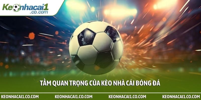 Tầm quan trọng của kèo nhà cái bóng đá