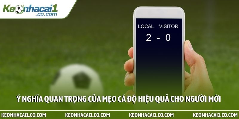 Ý nghĩa quan trọng của mẹo cá độ hiệu quả cho người mới